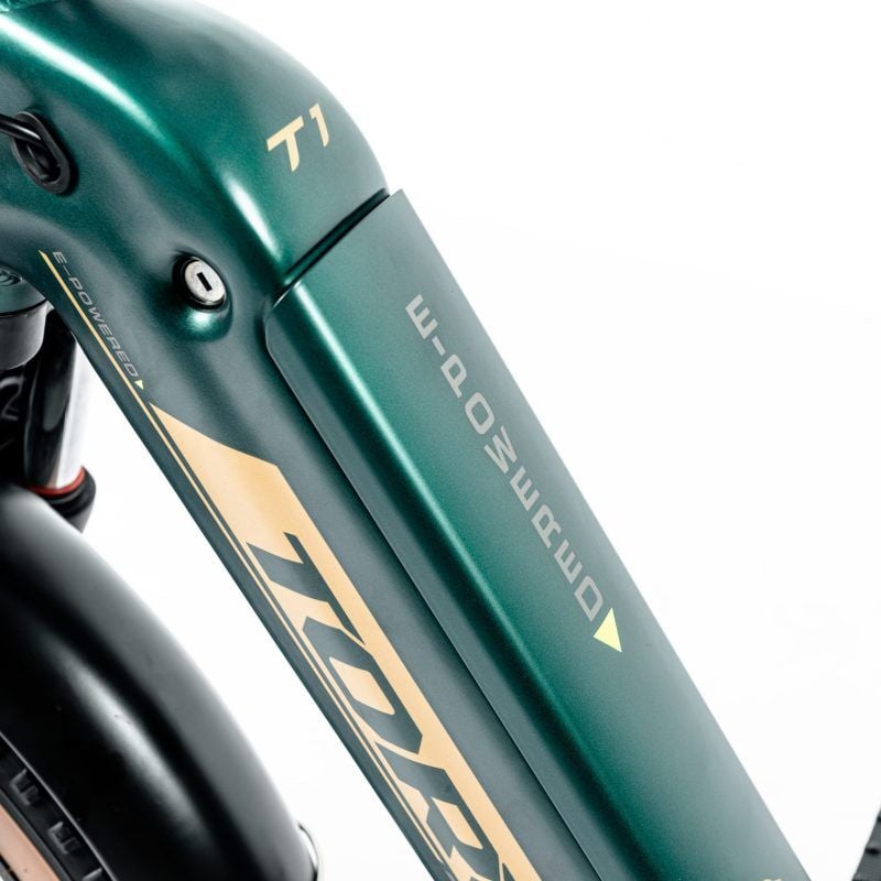 Torc T1-F 20 Fatbike Elektrikli Katlanır Bisiklet  Yeşil