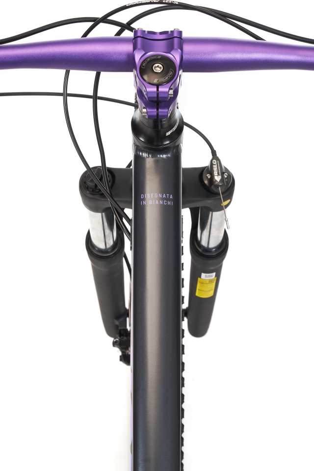 Bianchi Magma 27.X  27.5 Jant Dağ Bisikleti 38cm Siyah Mor