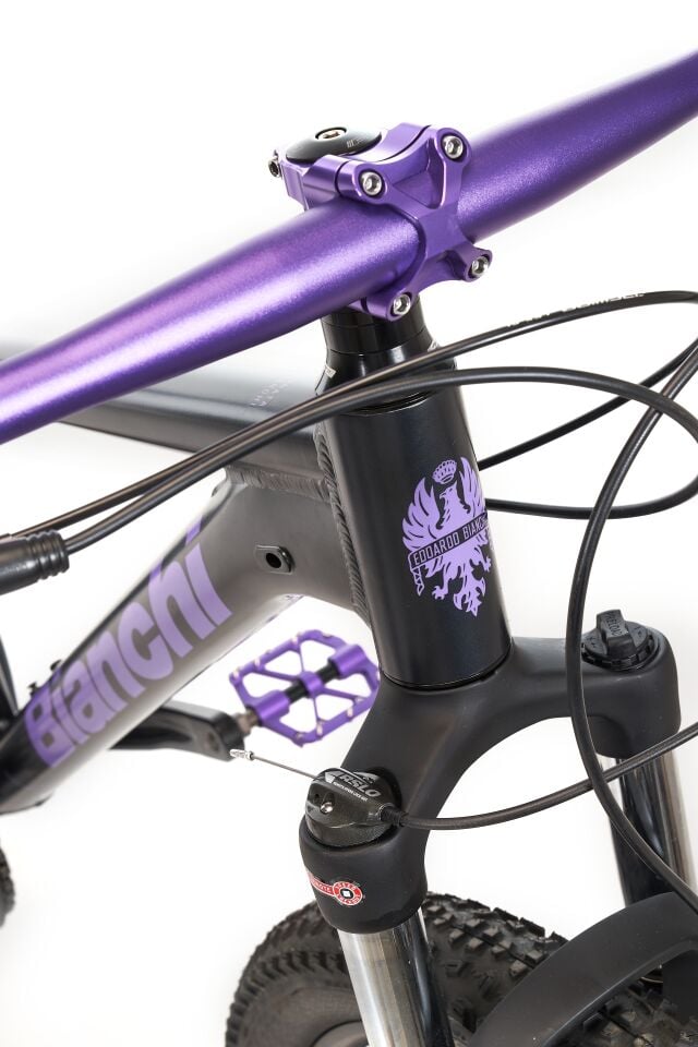 Bianchi Magma 27.X  27.5 Jant Dağ Bisikleti 38cm Siyah Mor